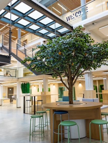 ecole-de-communication-rennes-sup-de-pub