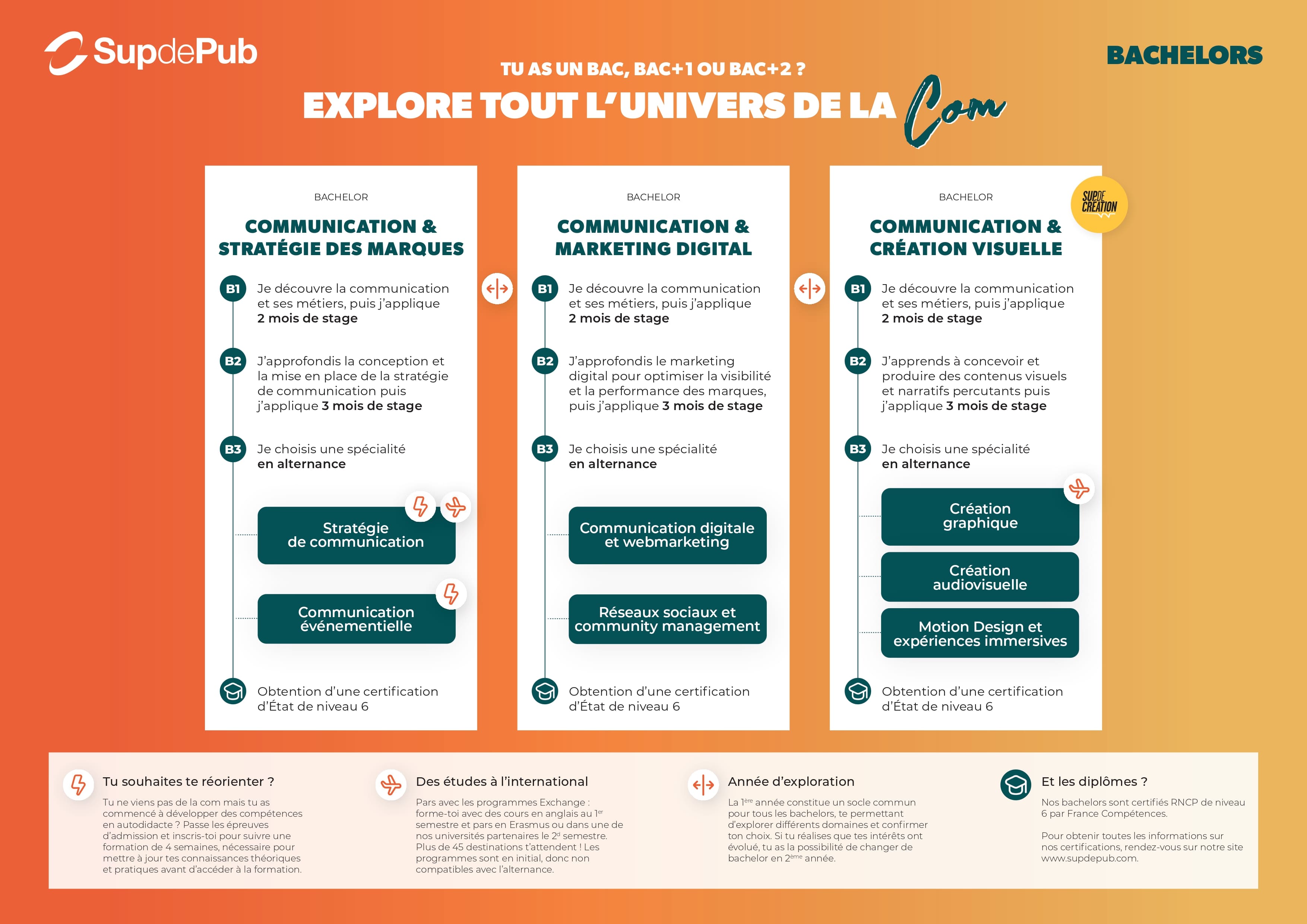 Schéma des études Sup de Pub - Bachelor 25/26
