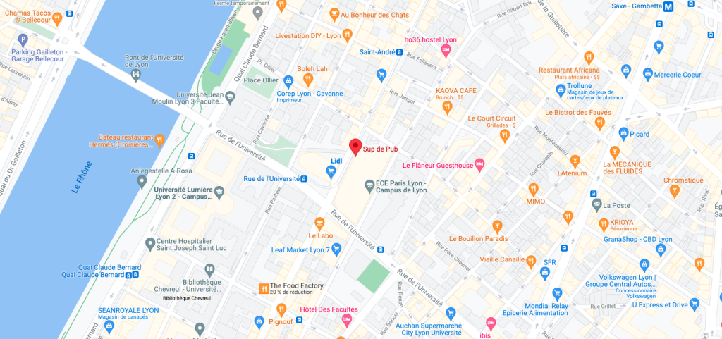 Google maps of Lyon